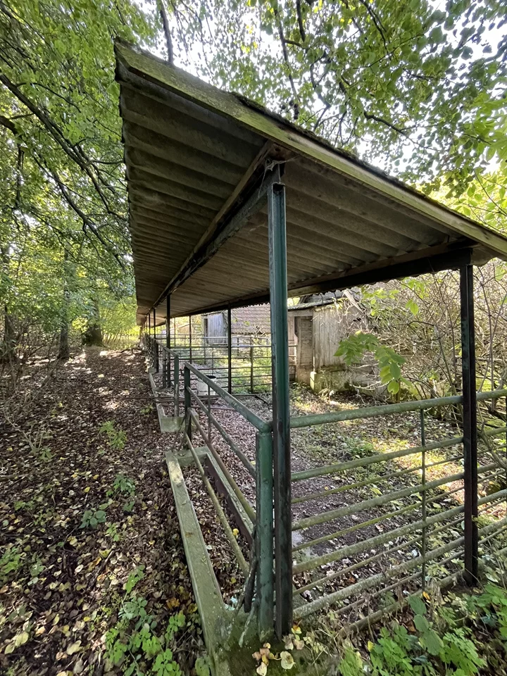 Veřejná dražba – zemědělské objekty Týček