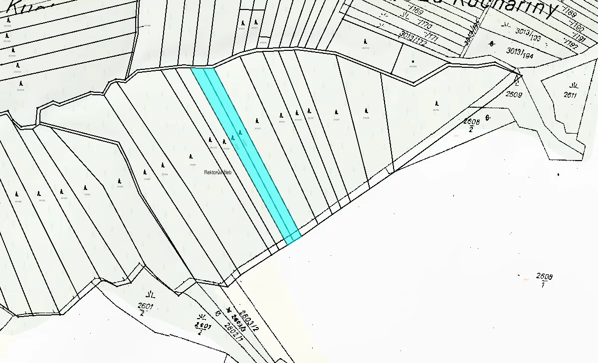 Podíl ¼ z celku lesních pozemků v katastrálním území Halenkovice